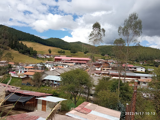 Granja porcina Cajamarca