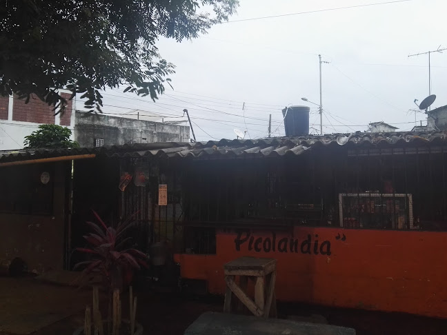 Opiniones de Tienda Picolandia en Guayaquil - Tienda de ultramarinos