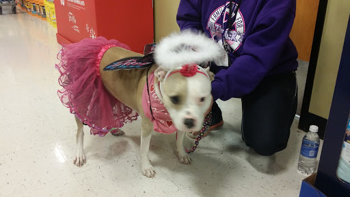 Pet Supply Store «PetSmart», reviews and photos, 1705 N Bechtle Ave, Springfield, OH 45504, USA