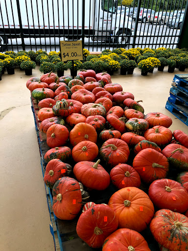 Produce Market «Produce Junction Inc», reviews and photos, 272 Pottstown Pike, Exton, PA 19341, USA