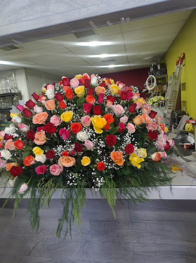 Florería Los Tulipanes – Chihuahua