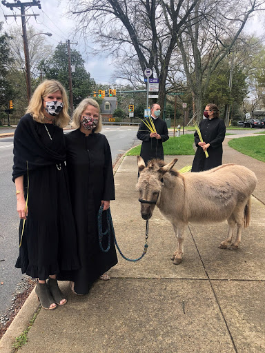 Pony Ride Service «Animals Unlimited LLC est 1996 travelling petting zoo/pony rides/travelling exotic animal programs .», reviews and photos, 16805 Mountain Rd, Montpelier, VA 23192, USA