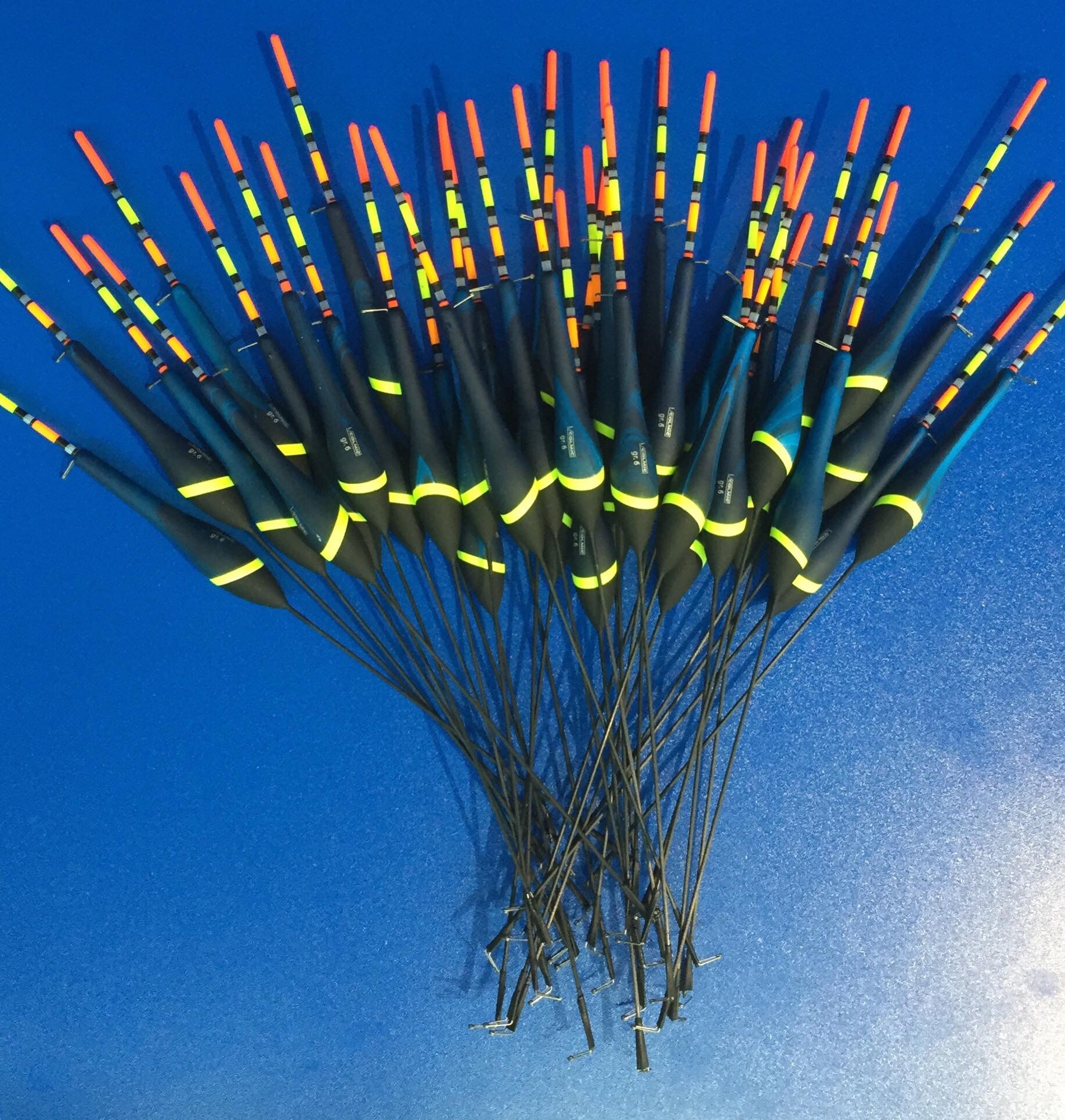 Fish Hobby S L - 12