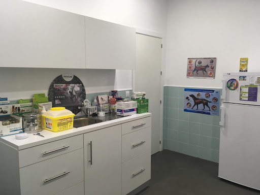 Clínica Veterinaria Guau + Miau Sevilla en Sevilla