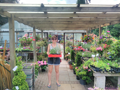 Bents Green Nurseries