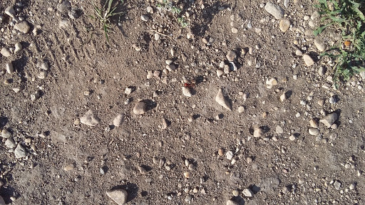 Tourist Attraction «Stonehenge II», reviews and photos, 120 Point Theatre Rd S, Ingram, TX 78025, USA