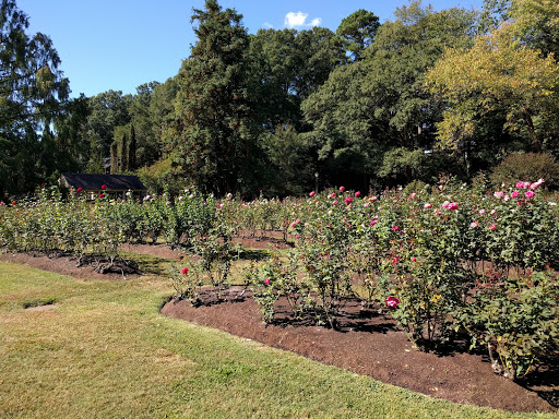 Performing Arts Theater «Raleigh Little Theatre», reviews and photos, 301 Pogue St, Raleigh, NC 27607, USA