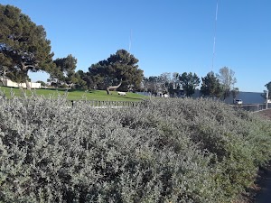 Thunderbird Villa Mobile Home - photo 20