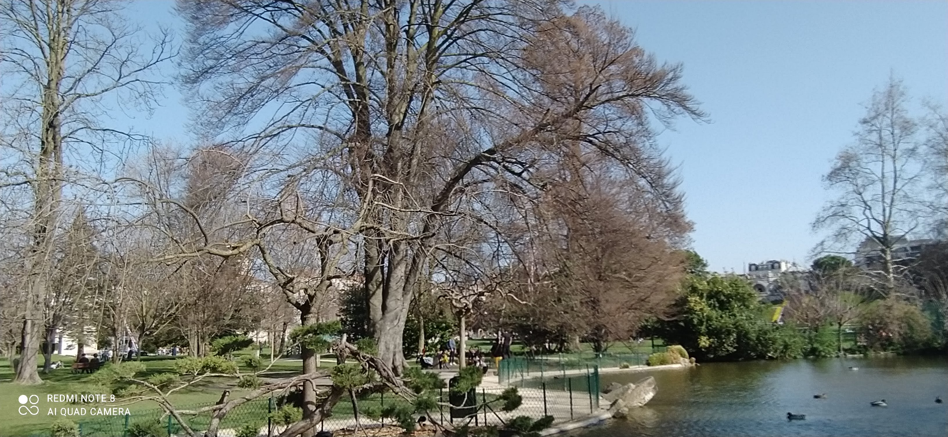 Photo n° 4 de l'avis de Lydie.a fait le 24/02/2021 à 13:44