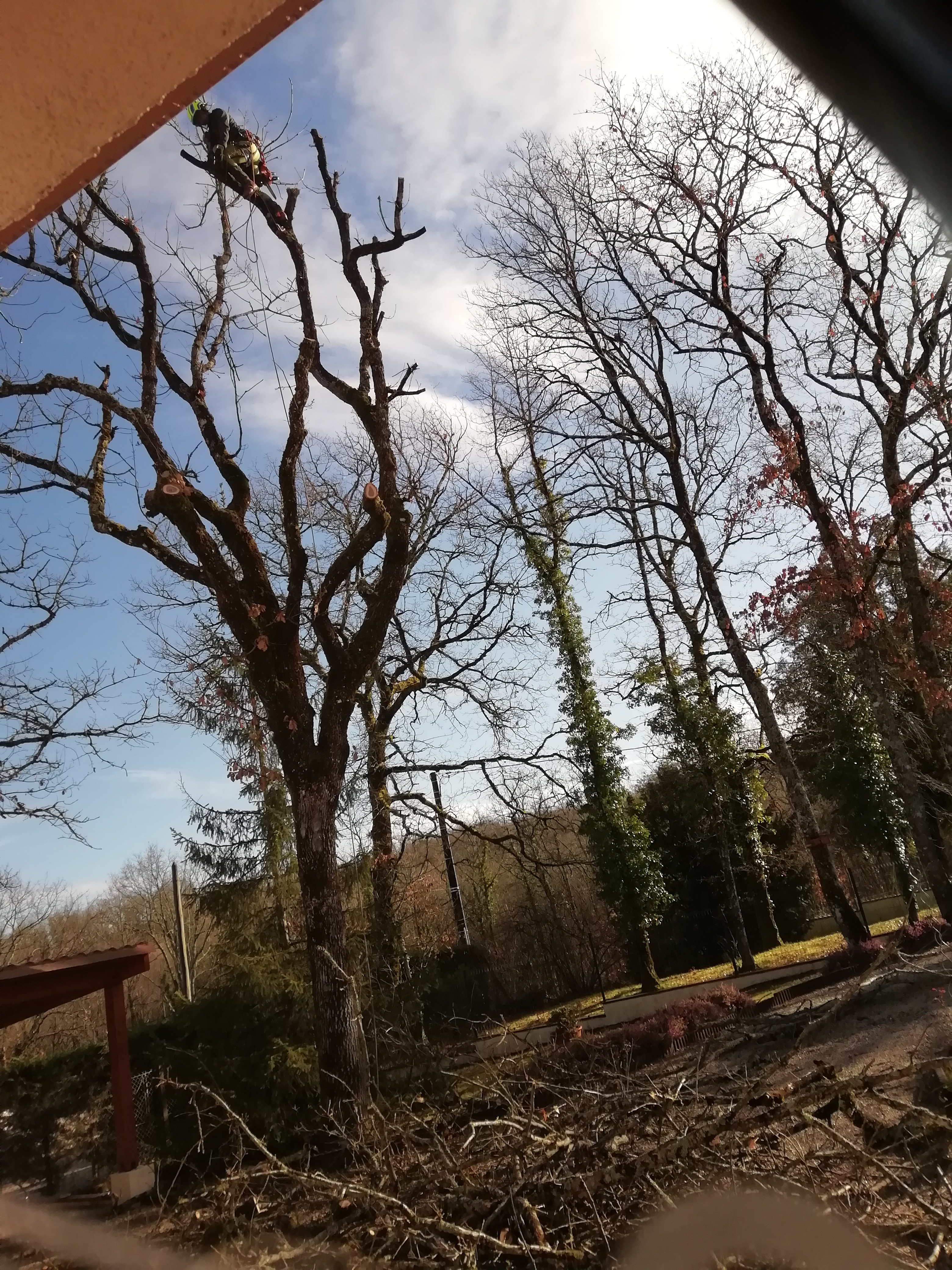 Photo n° 2 de l'avis de larsonneau.h fait le 08/03/2024 à 15:35