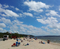 West Neck Beach'in fotoğrafı çok temiz temizlik seviyesi ile