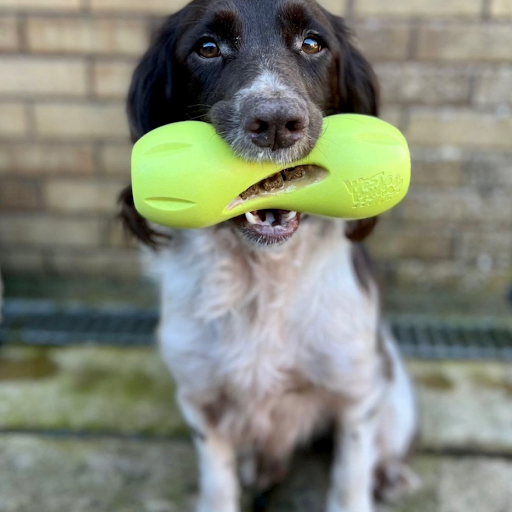 Pet Supply Store «The Doggie Bag A Pet Boutique», reviews and photos, 1745 E Edgewood Dr, Lakeland, FL 33803, USA