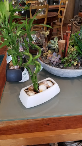 Florist «Ah Sam Florist», reviews and photos, 2645 S El Camino Real, San Mateo, CA 94403, USA