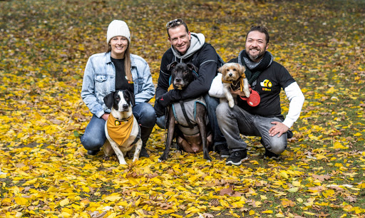 Photo of UDog Immediate Dog Walking Service