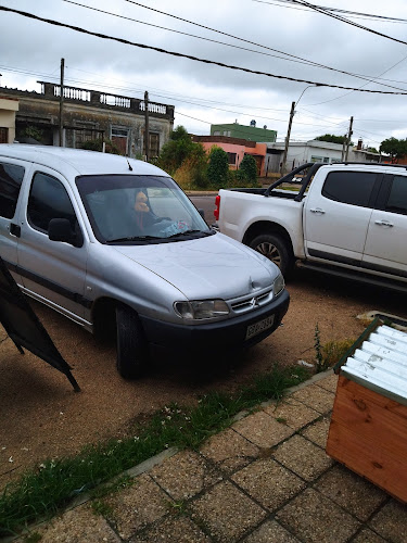 César Mayo Gutierrez 372, 12400 La Paz, Departamento de Canelones, Uruguay