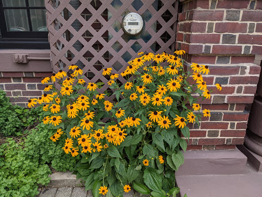 Modern Art Museum «The Phillips Collection», reviews and photos, 1600 21st St NW, Washington, DC 20009, USA