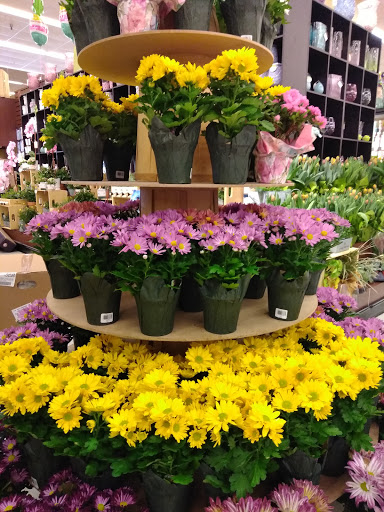 Grocery Store «Jewel-Osco», reviews and photos, 800 W North Ave, Melrose Park, IL 60160, USA