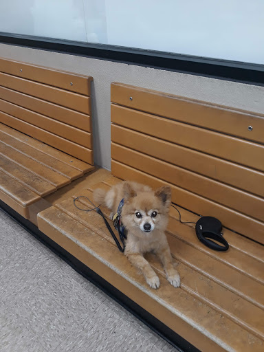 Pet Supply Store «PetSmart», reviews and photos, 5435 W TX-1604 Loop N, San Antonio, TX 78253, USA