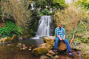 Bushy Park Waterfall image