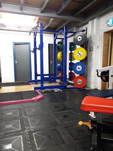 Reviews of Muscle Finesse Swansea in Swansea - Gym