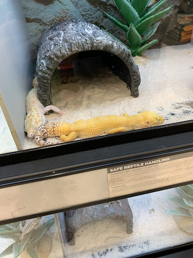 Pet Supply Store «Petco Animal Supplies», reviews and photos, 6418 S Staples St b, Corpus Christi, TX 78413, USA