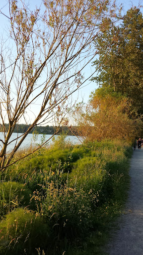 Golf Course «Green Lake Pitch & Putt», reviews and photos, 5701 Green Lake Way N, Seattle, WA 98103, USA