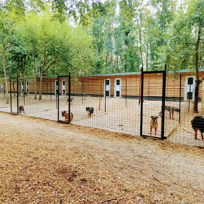 Auberge des Mille et une Truffes à Praslay