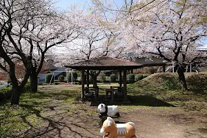 Shiroshita Park image