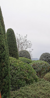 Jardin de Ile Verte à Valbonne
