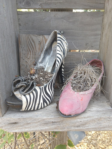 Coffee Shop «Mountain Sage», reviews and photos, 18653 Main St, Groveland, CA 95321, USA