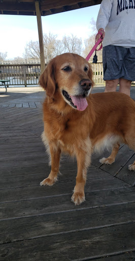 Pet Supply Store «PetPeople», reviews and photos, 3330 Washtenaw Ave, Ann Arbor, MI 48104, USA