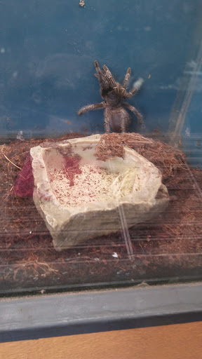 Pet Supply Store «House of Pets Inc», reviews and photos, 29500 Ford Rd, Garden City, MI 48135, USA