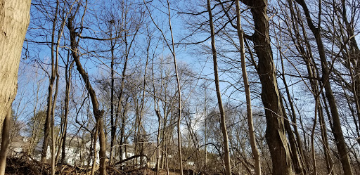 Golf Club «Leewood Golf Club», reviews and photos, 1 Leewood Dr, Eastchester, NY 10709, USA