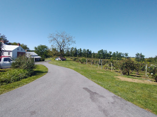 Vineyard «Elk Run Vineyards», reviews and photos, 15113 Liberty Rd, Mt Airy, MD 21771, USA