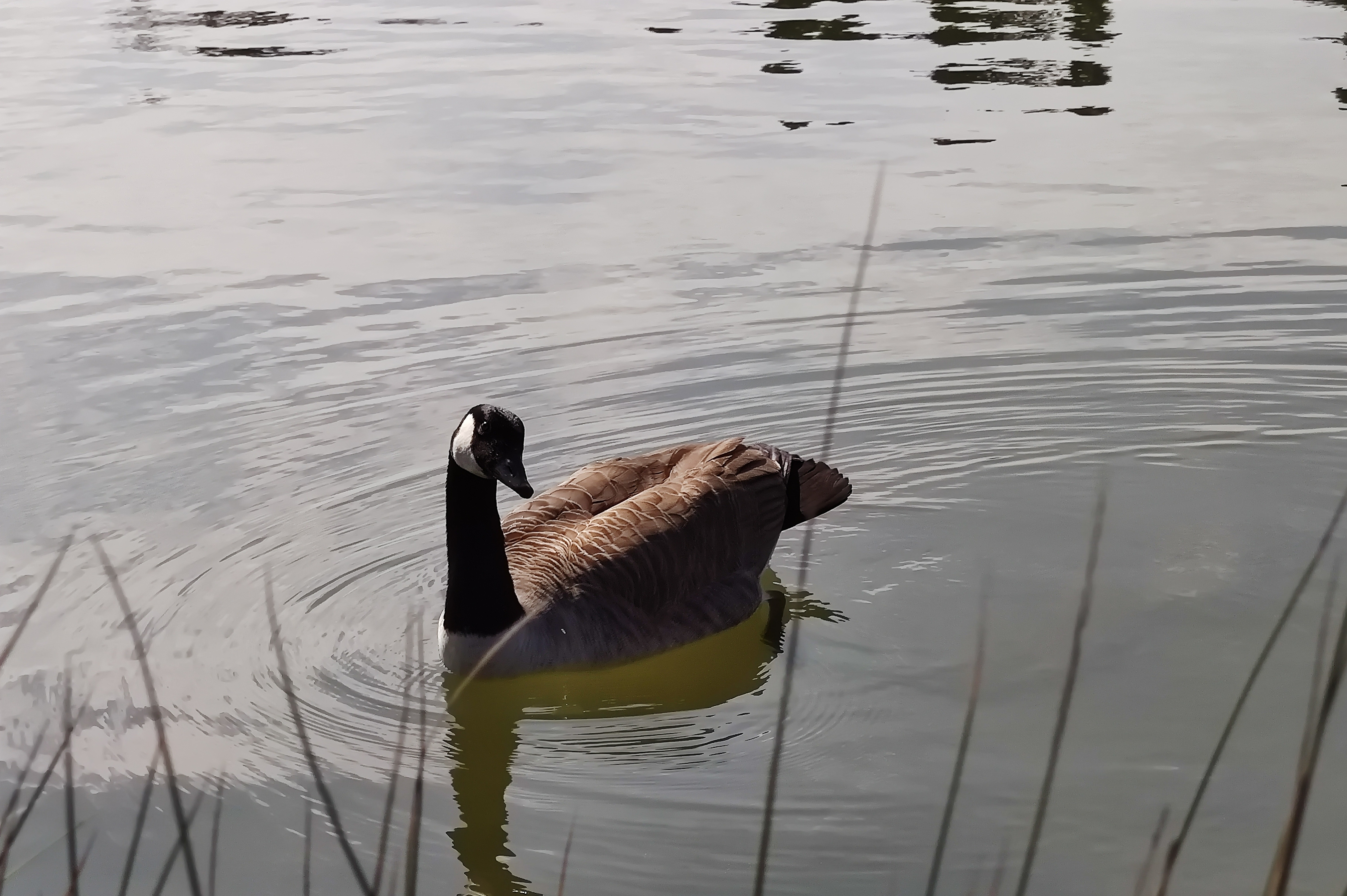 Photo n° 11 de l'avis de Javier.l fait le 20/03/2022 à 12:48