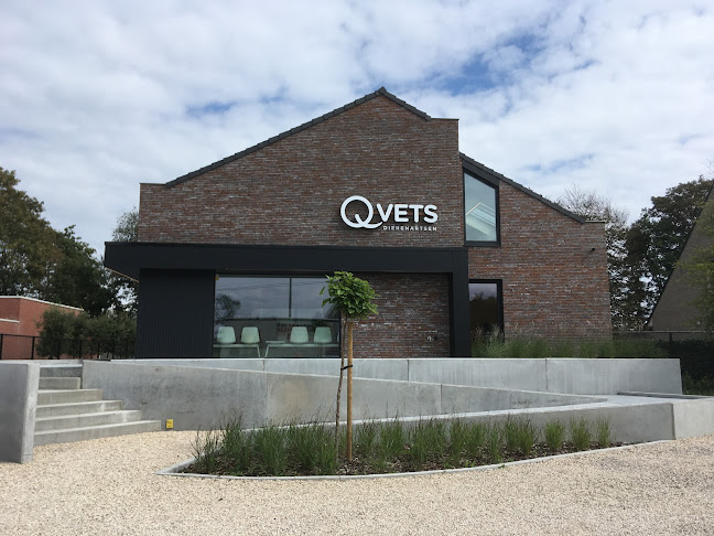 Qvets dierenartsen