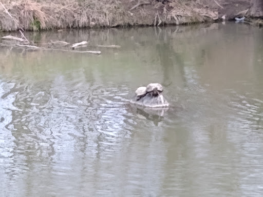 Park «Bear Creek Park», reviews and photos, 3550 S Raleigh St, Denver, CO 80236, USA