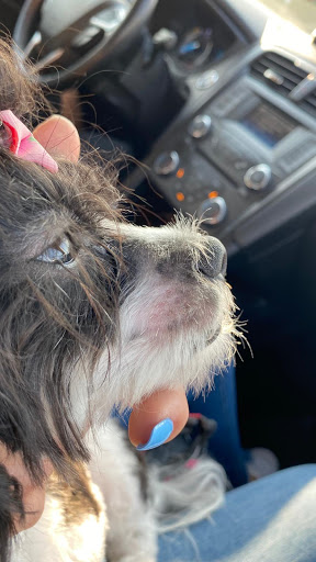 Pet Supply Store «Petco Animal Supplies», reviews and photos, 1150 Concord Ave #160, Concord, CA 94520, USA