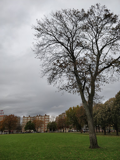 Park «Cambridge Common Park», reviews and photos, Waterhouse St & Massachusetts Ave, Cambridge, MA 02138, USA
