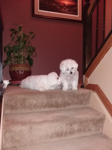 Pet Supply Store «Pet Supplies Plus», reviews and photos, 2912 Council Tree Ave #100, Fort Collins, CO 80525, USA