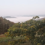 Photo n°3 de l'avis de Pierangelo.o fait le 27/10/2022 à 15:44 sur le  Agriturismo Cascina Cornelli – Ristorante à Sassello