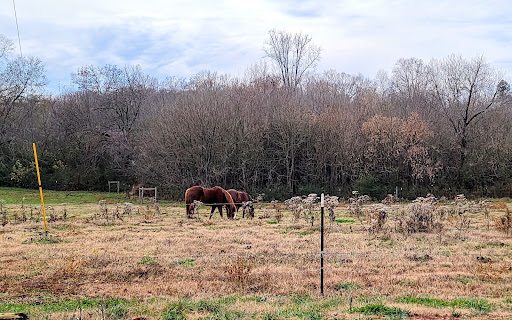 Grocery Store «Harris Meats», reviews and photos, 2305 N Elm St, Commerce, GA 30529, USA