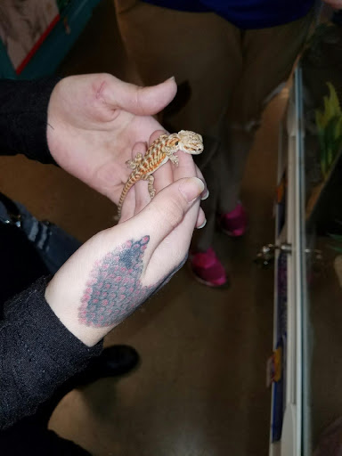 Pet Supply Store «PetSmart», reviews and photos, 9905 E Independence Blvd, Matthews, NC 28105, USA