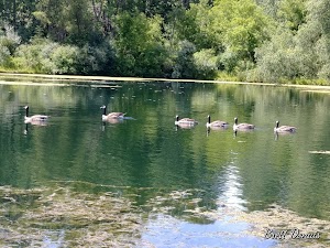 Jansen Park LLC - photo 81