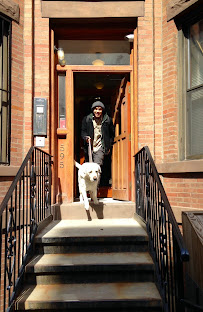 Pawk Slope Dog Walking and Pet Care - Photo 4 - Car repair in , New York