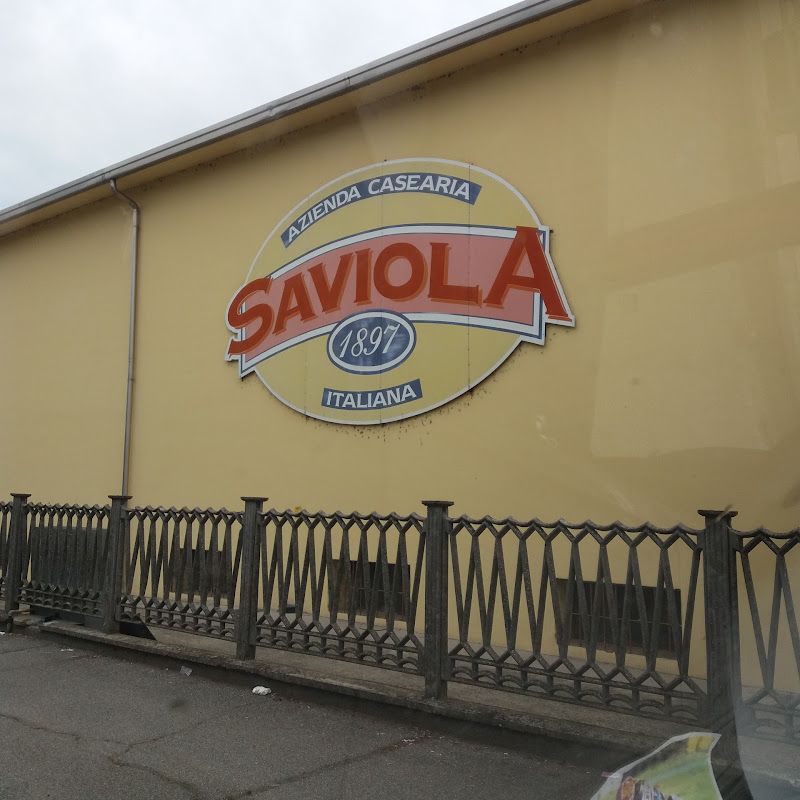 Saviola Spa