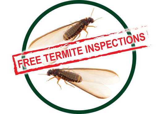 Kilter Termite and Pest Control - San Diego North County