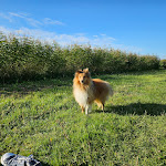 Photo n°2 de l'avis de Fre.a fait le 05/05/2024 à 18:23 sur le  Hotel Wernerwald à Cuxhaven