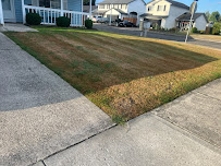 Garcias Landscaping Services - Photo 4 - Car repair in Vancouver, WA, Vancouver