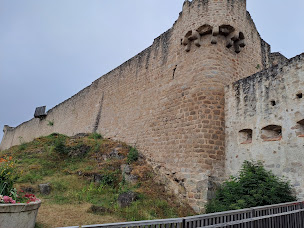 Photo n°48 de Château du Hohlandsbourg à Wintzenheim ()